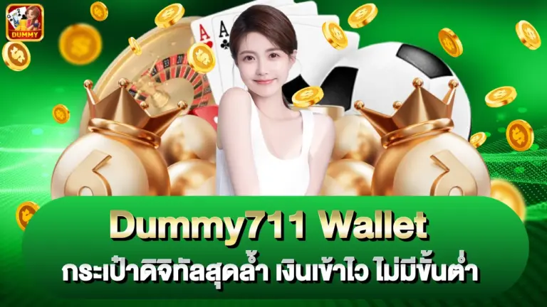 dummy711-wallet